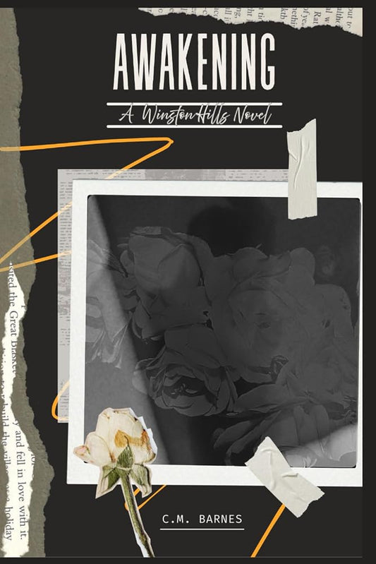 AWAKENING: A Winston Hills Novel cover image